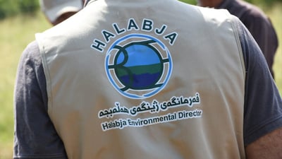 Iraq sends 30,000 tree seedlings to Halabja with new oversight