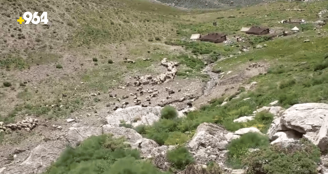حەوت شاخەوان لەقەندیل هەڵدێران