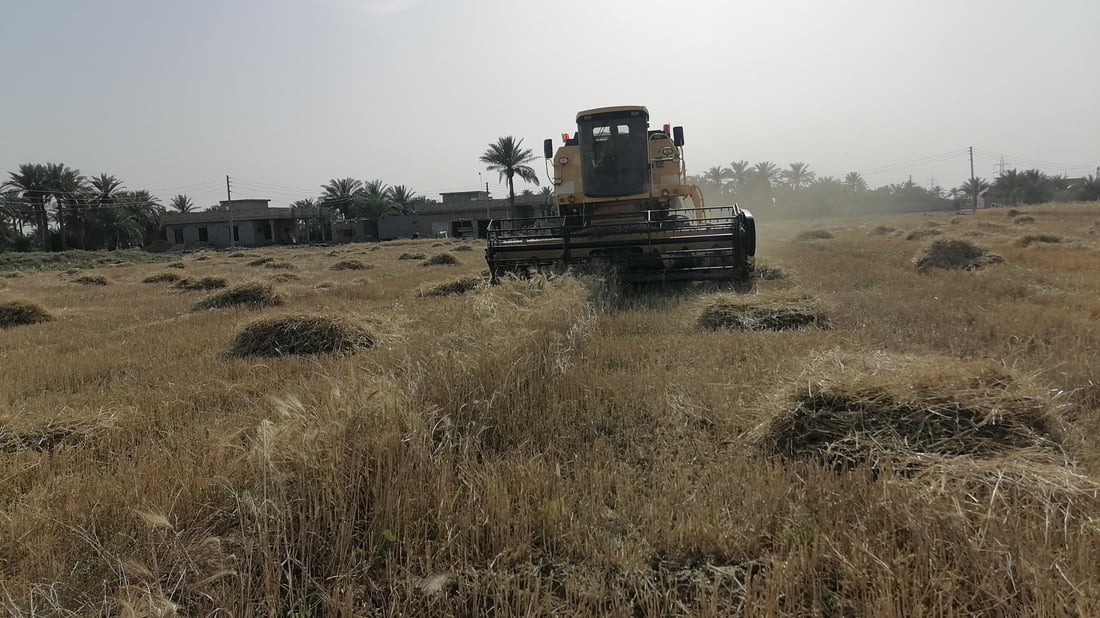 صور: شمال بغداد يحصد من الطارمية حتى تخوم صلاح الدين.. “صرف الأموال يشجعنا”