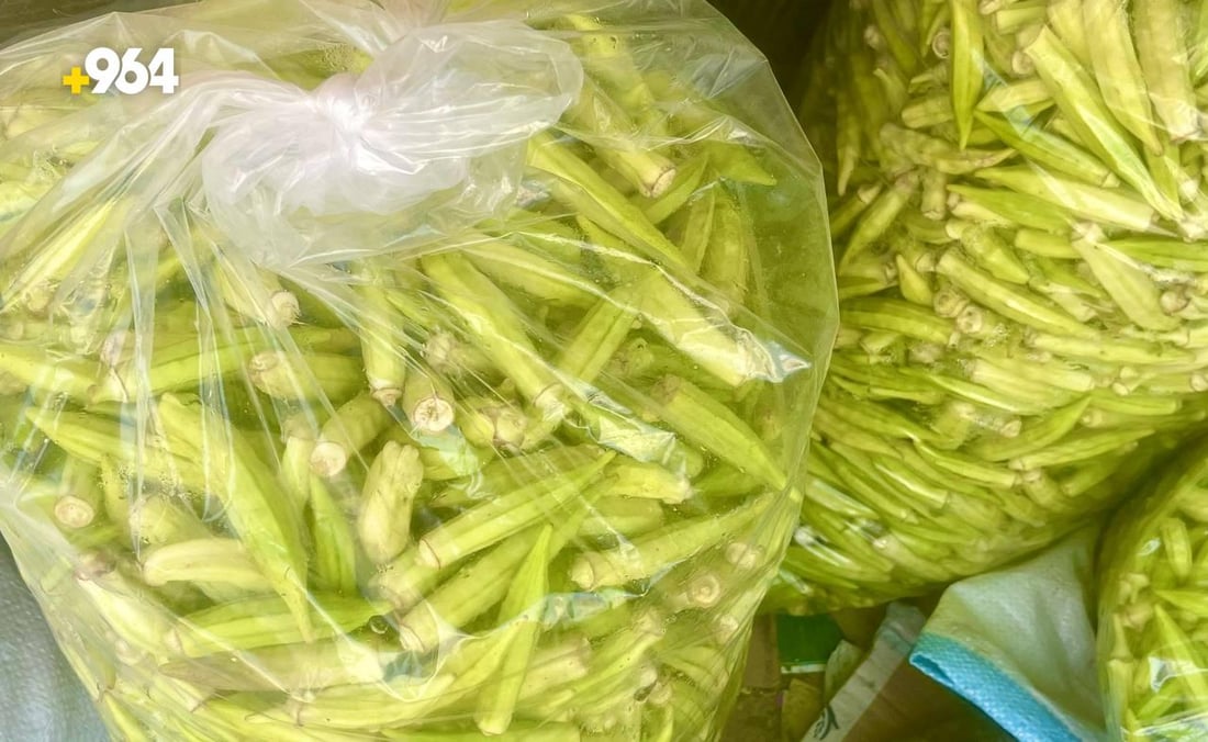 صور: موسم “باميا سهيل” بدأ في البصرة والزبائن تذوقوا القطفة الأولى