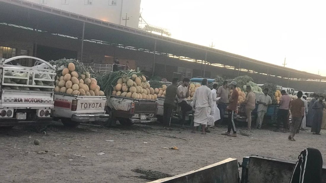 زراعة أبو غريب ليست بخير.. أمطار أيار هي السبب وحر حزيران (صور وأسعار)