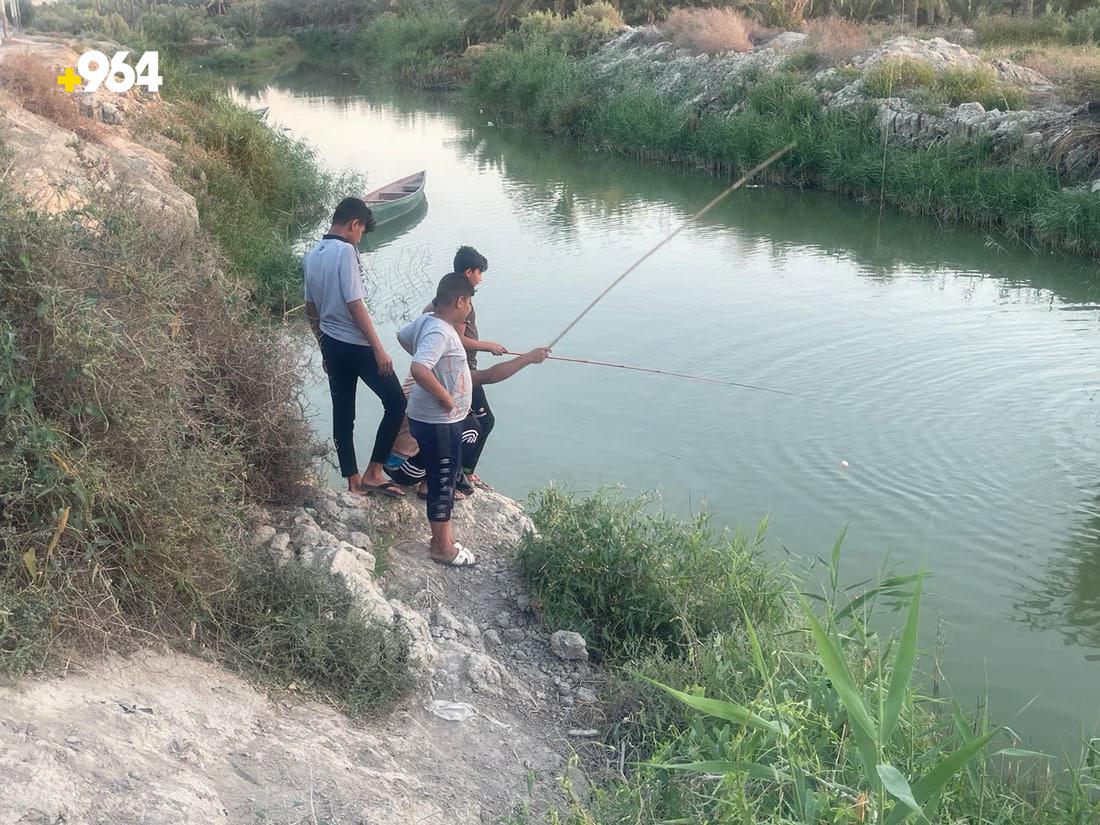 964mediaصورة من منصة (شبكة): 