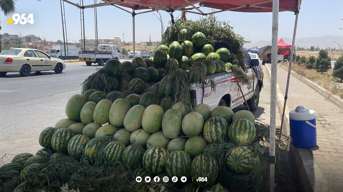 بەشێک لە میوەفرۆشەکان ئۆتۆمبێلی بێ ژمارە و بزوێنەر بەکاردەهێنن