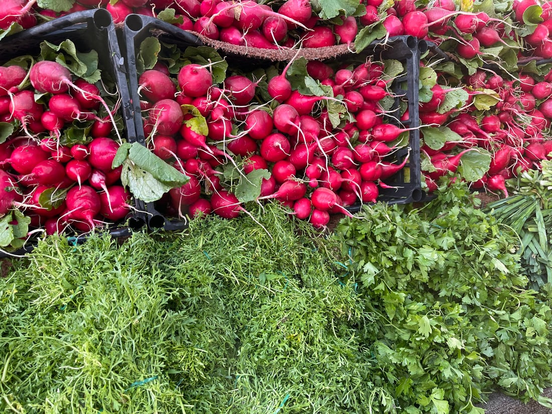 علوة كركوك: الباميا العراقية “مغرورة” بـ4 آلاف.. والمشمش يختفي بسرعة (صور)