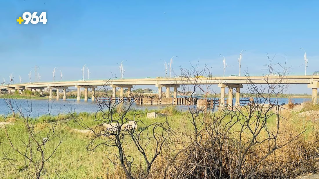 964mediaصورة من منصة (شبكة): 