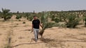 فيديو: النخيل ينجح وينجح في الموصل بعد تغيرات المناخ وهذه جنائن المحلبية