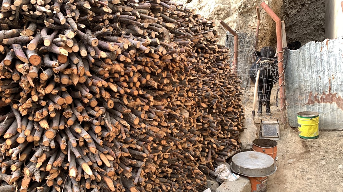 Pshdar residents face cold without heating oil, turn to wood burning