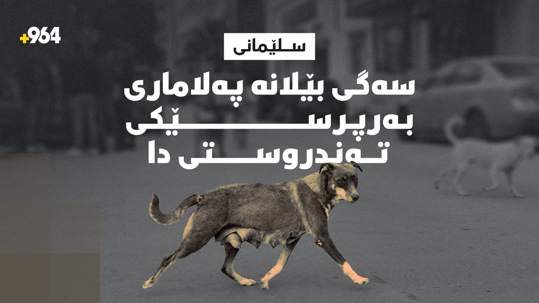 سەگی بێلانە پەلاماری جێگری بەڕێوەبەری گشتیی تەندروستیی سلێمانی دا