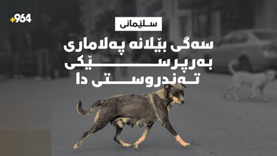 سەگی بێلانە پەلاماری جێگری بەڕێوەبەری گشتیی تەندروستیی سلێمانی دا