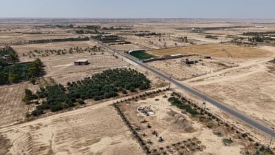 سيل من الأشجار يتجه إلى راوة من جهة الصحراء والبشارة من أبو نائل (فيديو)