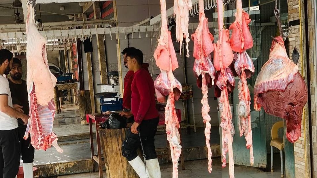 زبائن اللحوم الحمراء أقلّ في ربيعة بعد رمضان.. السمك والدجاج أرخص (فيديو)