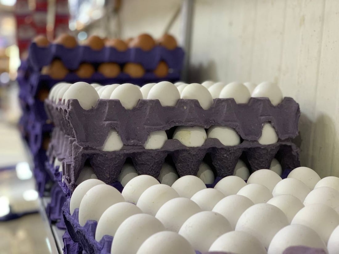 الزراعة تؤكد منع دخول بيض المائدة إلى السوق المحلية