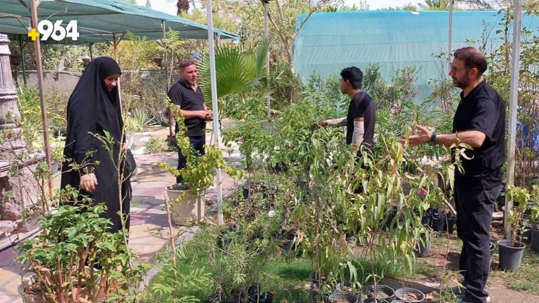 لا كاربس بعد اليوم.. ذي قار تحذر المشاتل من بيع وزراعة أسوأ الأشجار (صور)