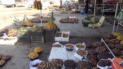 خاڵس بە 70 جۆر خورما بازاڕەکانی عێراق و چوار وڵاتی دیکەی پڕکردووە