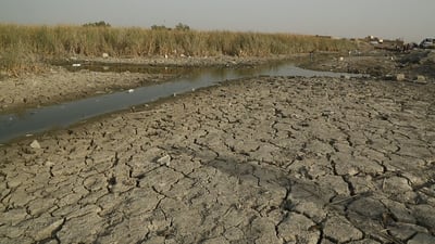 العراق يفقد 400 ألف دونم من الأراضي الزراعية سنوياً بسبب درجات الحرارة