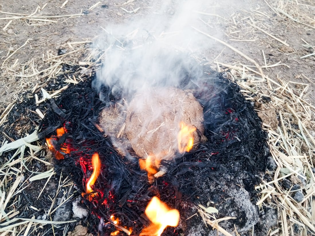 964mediaصورة من منصة (شبكة): 