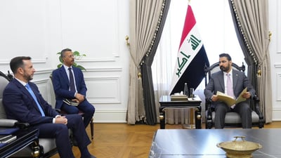  ئیتالیا و ئەڵمانیا داوای عەلی ئەلزەیدی دەکەن