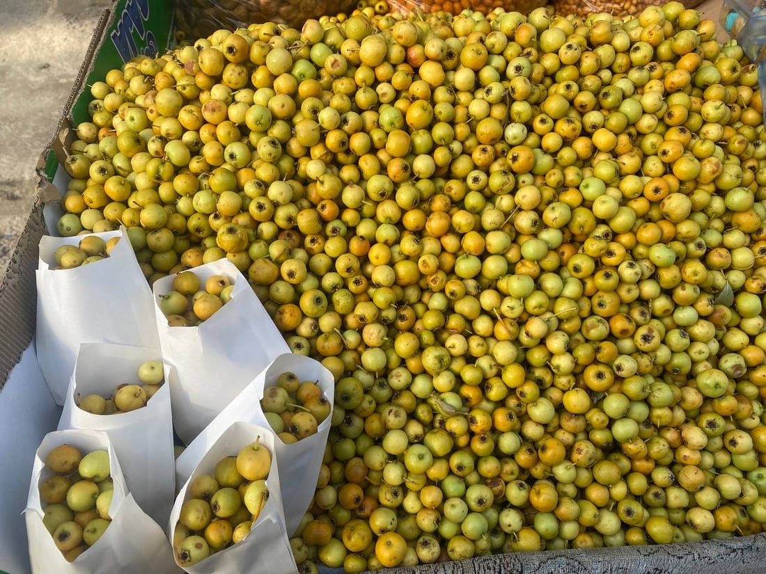گۆیژە تام خۆشەکەی دهۆک پێگەیشتووە