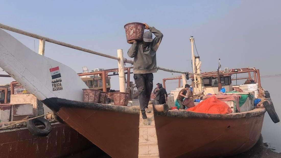 أطنان من السمك.. أم الروبيان والسلطعون في علوة الفاو (صور)