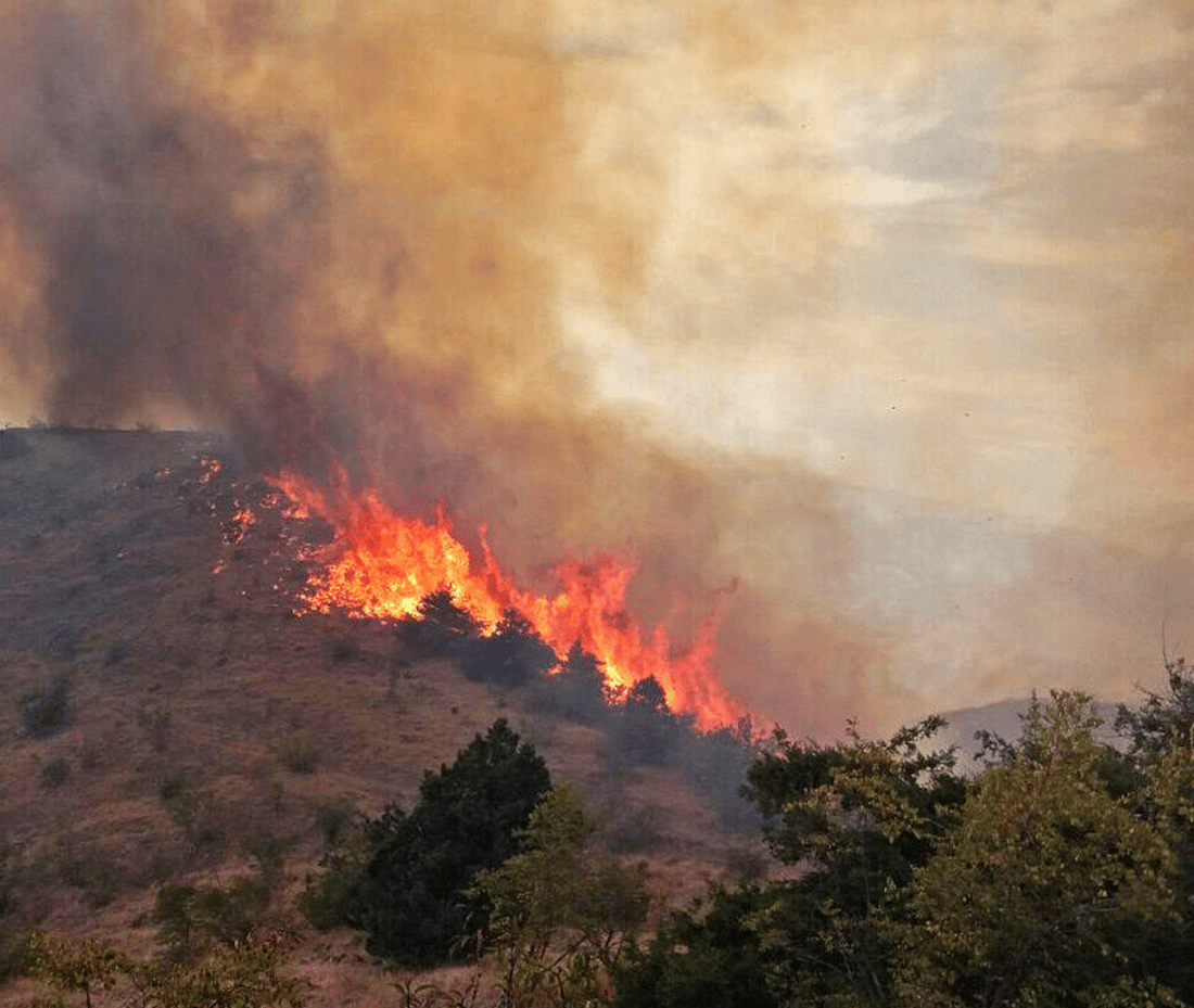 ئەم هاوینە هەزار و 637 هێکتار زەوی لە سنە سووتاوە