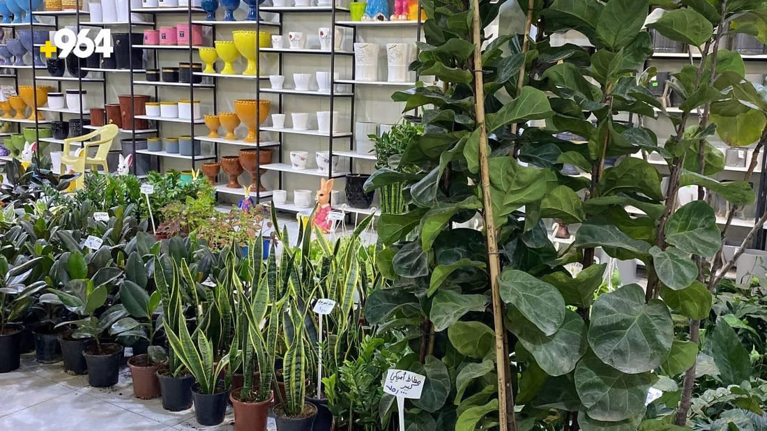 964mediaصورة من منصة (شبكة): 