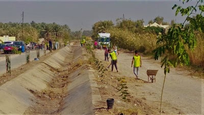 هبهب: تجمّع على فيسبوك يزرع 300 شجرة “ألبيزا وأكاسيا” مع منظومة ري بالتقطير