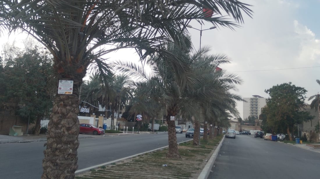 صور: تعليق عبارة “محمية بموجب القانون” على أشجار بغداد في السيدية والبياع