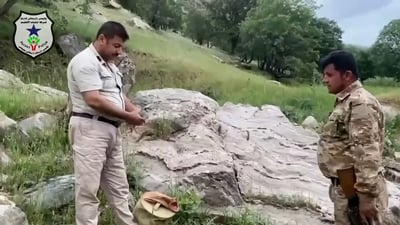 راوچییەکی باڵندە دەستگیر کرا و کەوێکیش گەڕێندرایەوە ناو سروشت 