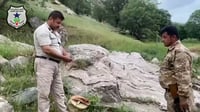 راوچییەکی باڵندە دەستگیر کرا و کەوێکیش گەڕێندرایەوە ن...