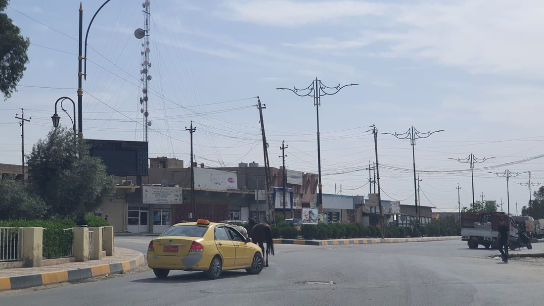 صور: خشية من تسرب لحمها للمطاعم.. حمير وبغال “تجتاح” شوارع تلعفر