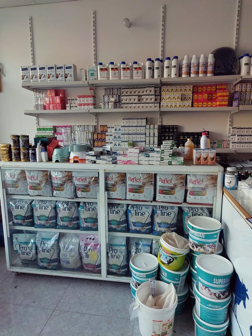 لیژنەکەی قایمقامیەت ناو سەلاجە و رەفە و مەخزەنەکان گەڕان