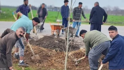کۆمەڵێک گەنجی خۆبەخش رێگای گوندی ناوگردان سەوز دەکەن