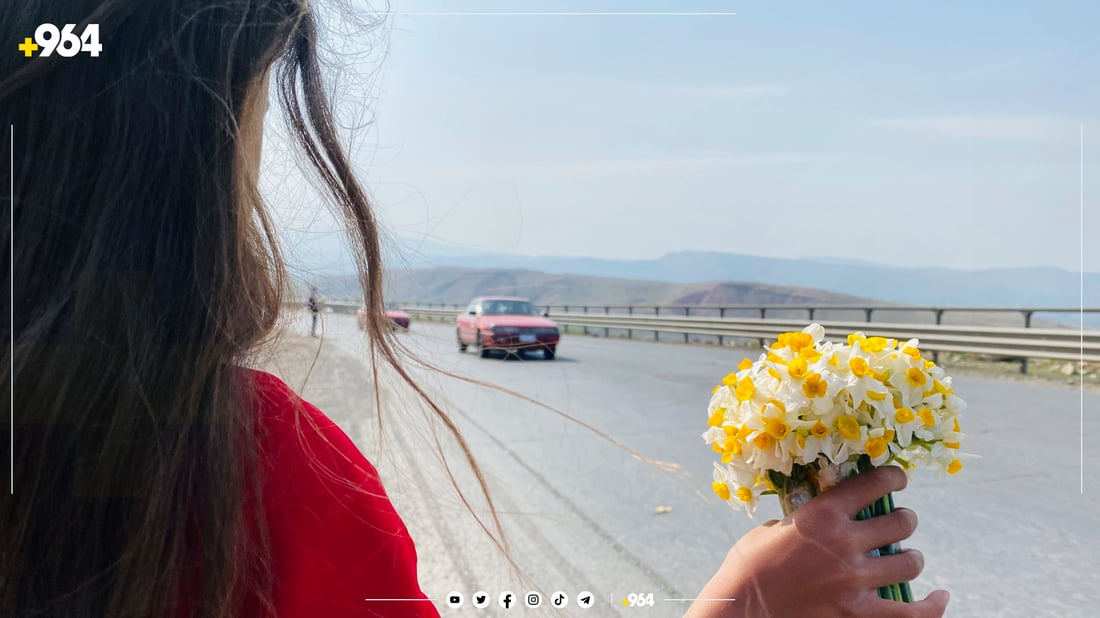 منداڵە نێرگز فرۆشەکانی لۆفەی سپیلک