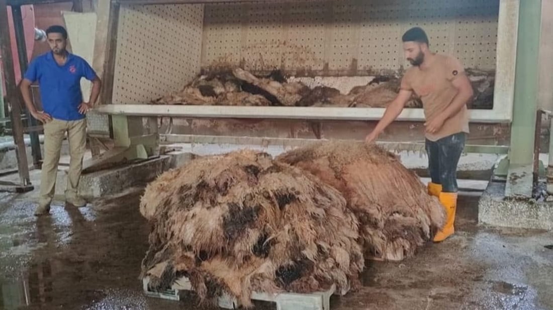 بعد توقف دام 12 عاماً.. الصناعة تُعلن عودة دباغة الجلود لإنتاج الأحذية والحقائب
