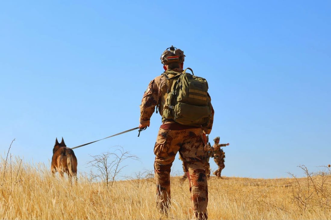 دوو چەکداری داعش لە کەرکوک و سلێمانی دەستگیر کران