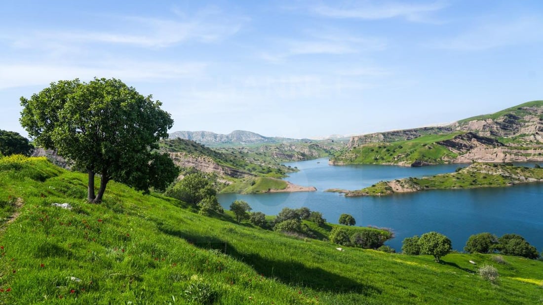 ئەمڕۆ کەیفی خۆتان بکەن و بەیانی زوو بگەڕێنەوە