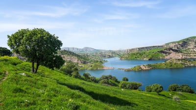 ئەمڕۆ کەیفی خۆتان بکەن و بەیانی زوو بگەڕێنەوە