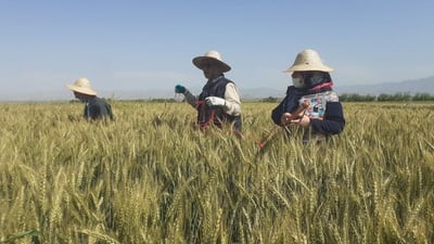 واده‌ى ناوتۆماركردنى جوتیاران درێژكرایه‌وه‌