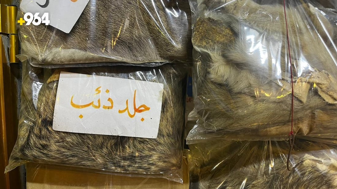 قنفذ وثعبان مع البهارات لطرد الأرواح الشريرة.. صور لعجائب سوق الهنود بالبصرة