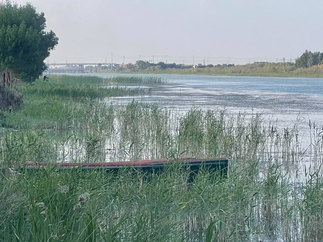 أسماك الخليج تمتنع عن دخول دجلة.. الأخطاء خربت المياه و4 فقط يحرسون أنهار البصرة