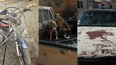 لە پیرەمەگروون و تەکیە 10 راوچی قۆڵبەست کران