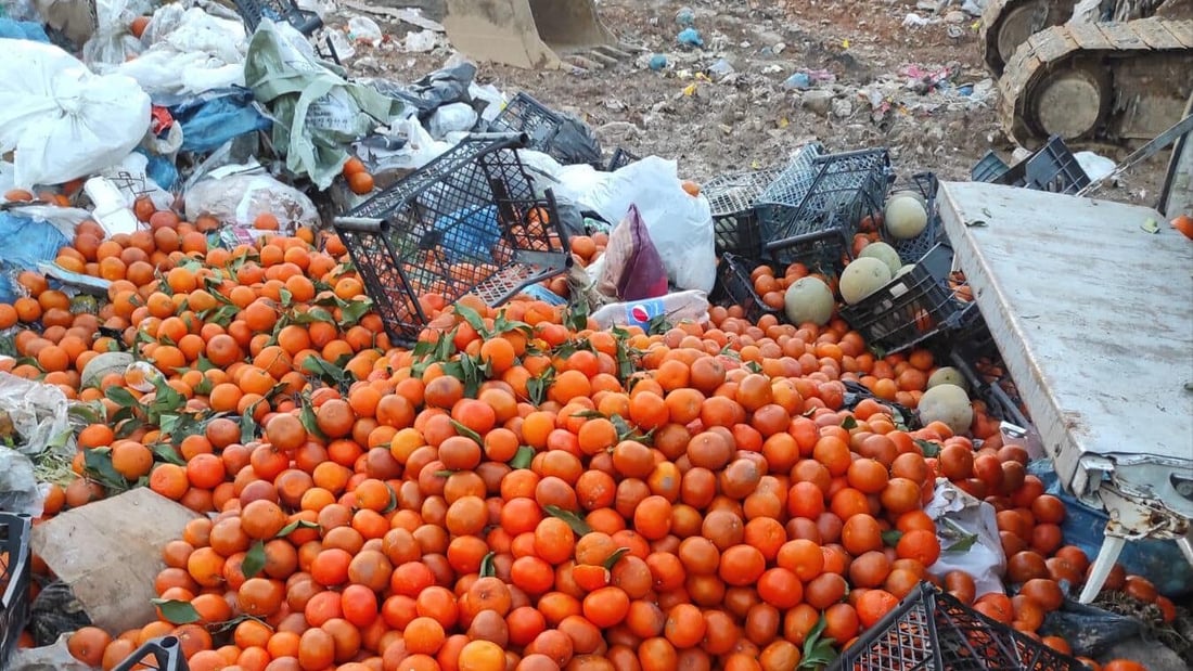 لە یەک مانگدا زیاتر لە 12 تۆن سەوزە و میوە لە عەلوەی سلێمانی کۆکراوەتەوە