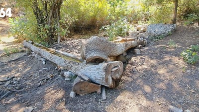 لە بارزان شوێنەكانی ئاوی خواردنەوە بۆ ئاژەڵە كێوییەكان نۆژەن دەكرێنەوە