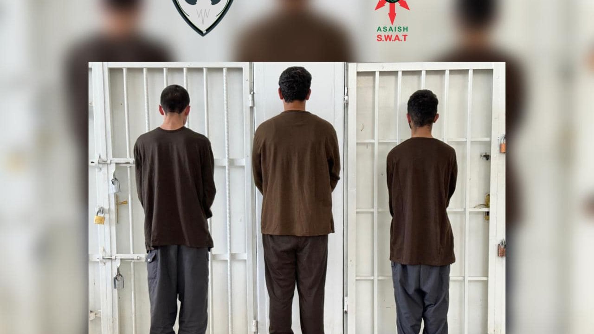 سێ کەس لەسەر سوتاندنی چیای گۆیژە دەستگیر کران