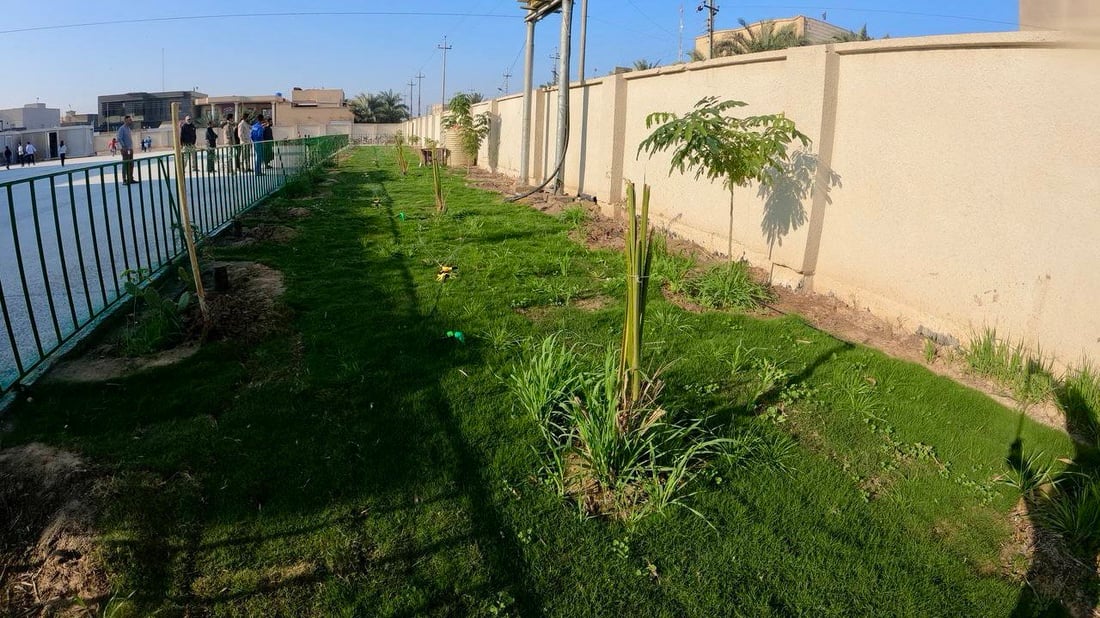 الأطفال سعداء.. عملاق النفط الروسي يزرع مدارس الهوير بالثيل والأشجار (صور)