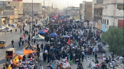 فيديو ادعاء بصراوي كبير: طيور الفاو والسيبة خط أحمر ونفهم كلامها!