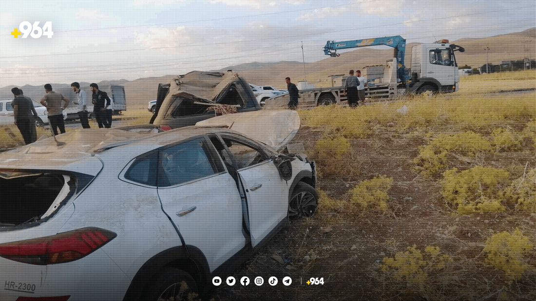 پێشبڕکێیان کرد و وەرگەڕان