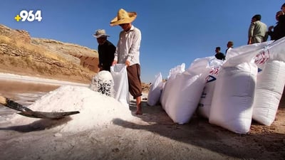 السليمانية تصنع الملح من آبارها.. ليس عليك سوى حجز الماء 10 أيام في البِركة