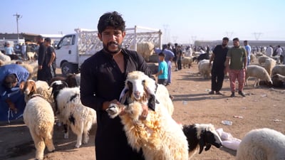 بالعافية.. البصرة تلتهم لحوم الجنوب والمزاد يصيح “السيد كله بركة”