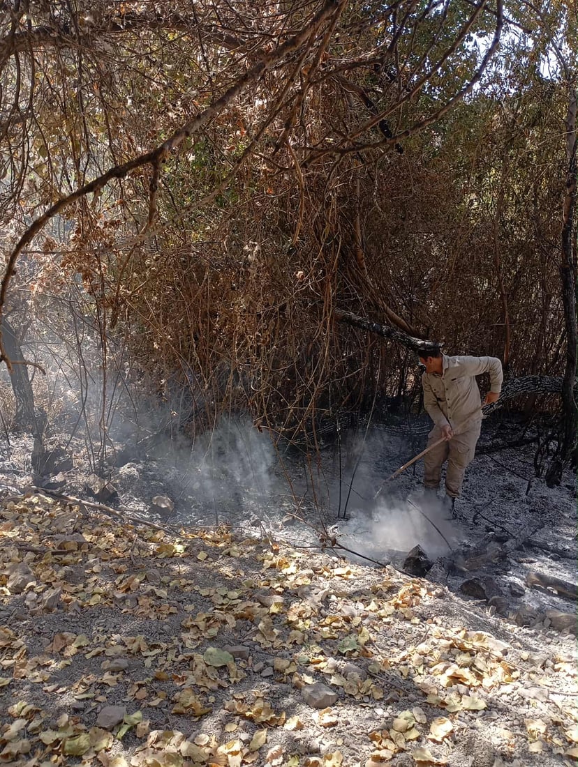 ئاگر بەرۆکی شارباژێر بەرنادات و نزیکەی 1400 دۆنم زەوی سووتاند